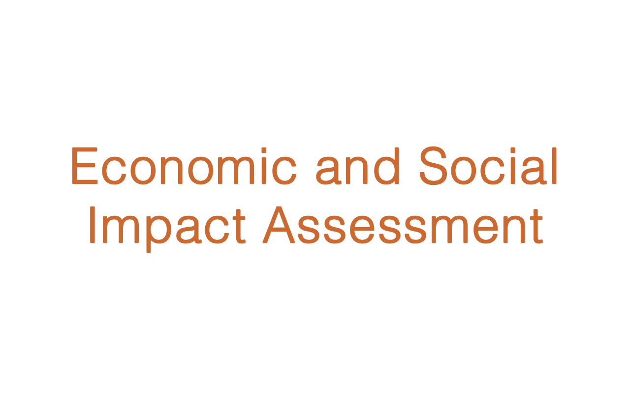 Economic Assessment